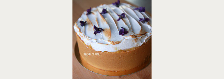 Cheesecake Citron